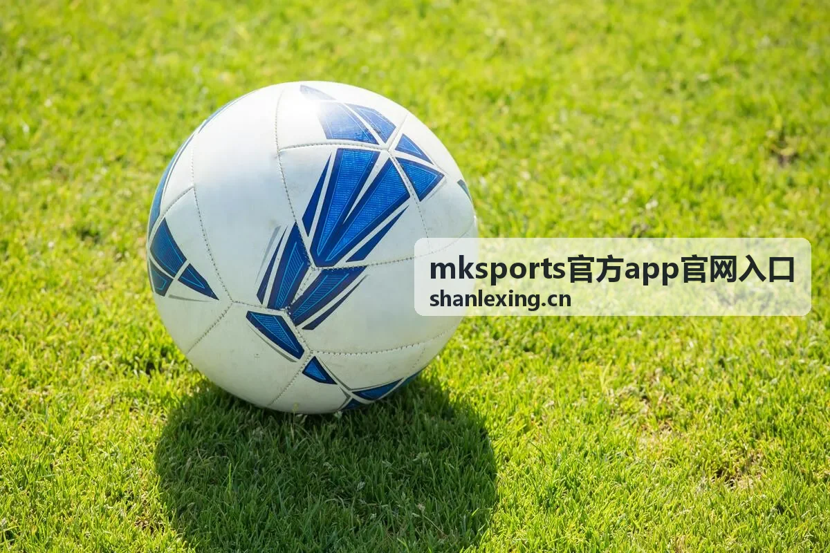 mksports官方app官网入口安全版本核对说明